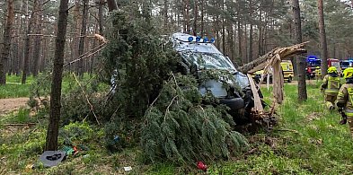 [Zdjęcia] Groźny wypadek w gminie Gizałki. Kierowca przewieziony do szpitala