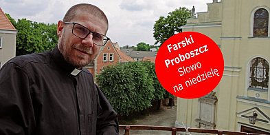 Pachnieć owcami, czyli po czym  poznać dobrego księdza? Felieton z Fary