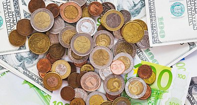 Koniec znanego kantoru internetowego. Co z poszkodowanymi po upadłości?-14195