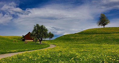 Do 100 tys. dla sołectwa w ramach XVI edycji konkursu Pięknieje wielkopolska wieś-15676