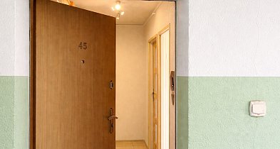 Patoadopcja. Pleszewskie Stowarzyszenie odebrało koty w Kaliszu