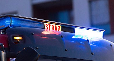 Zderzenie dwóch pojazdów w gminie Pleszew. Służby na miejcu