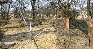 Olbrzymi problem z parkiem miejskim. Burmistrz reaguje, ale nie jest wesoło