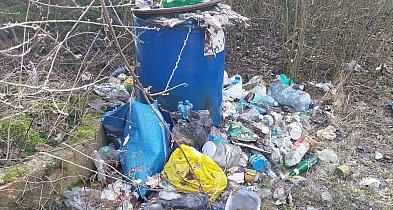 Kilogramy śmieci, w tym odpady remontowe, nad zalewem w Gołuchowie