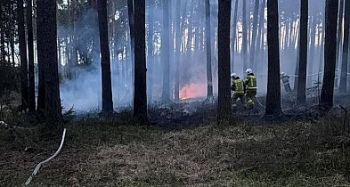 Strażacy z powiatu pleszewskiego ruszyli na pomoc poza swój teren