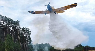 Dziewięć jednostek i samolot w akcji gaśniczej. Pracowita niedziela strażaków