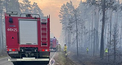 Nocny wyjazd wielkopolskich strażaków. Wśród nich ratownik z Pleszewa