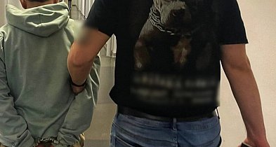 Obywatelskie ujęcie Kolumbijczyka w gm. Dobrzyca. Przybysz za nic ma prawo