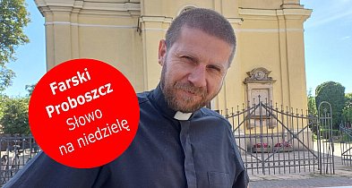 Kościół zaczyna się tam, gdzie ktoś opatruje cudze rany. Słowo na niedzielę