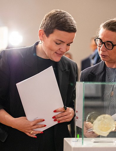 Unikat skradziony z Gołuchowa, po 80 latach wraca na zamek! Odzyskany w USA-14102