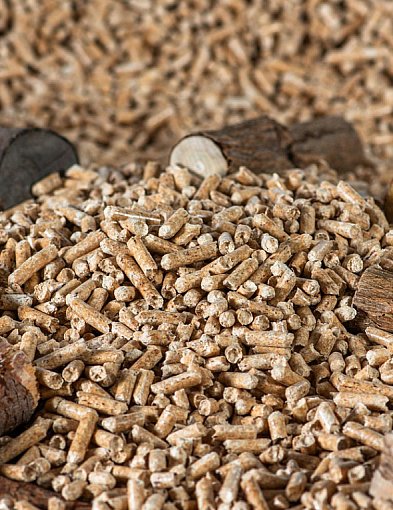 Drożeje popularny opał. Miliony Polaków dostaną po kieszeni tej zimy-14257