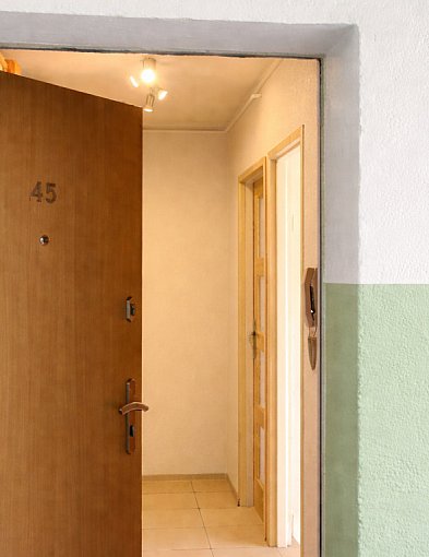 Patoadopcja. Pleszewskie Stowarzyszenie odebrało koty w Kaliszu