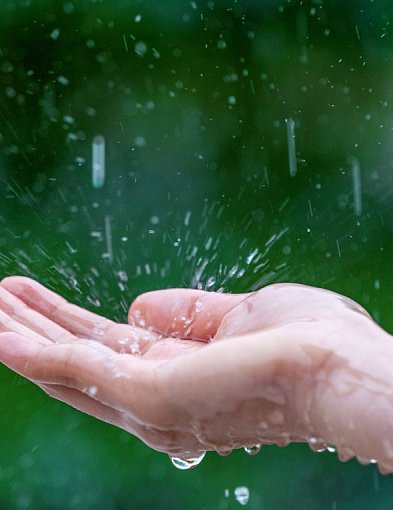 Nawet 8 tysięcy złotych dopłaty. Rząd uruchamia nowy program