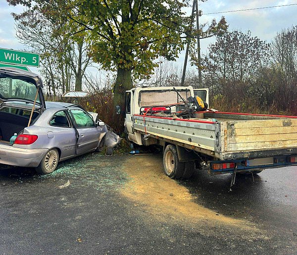 Droga pod Dobrzycą: najpierw się zderzyli ze sobą, a potem wbili w drzewo-14531