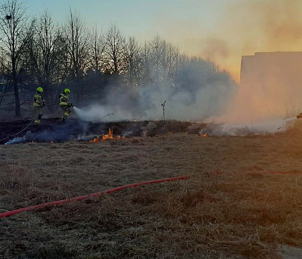 [Zdjęcia] Płonęło kilkadziesiąt metrów trawy, jedna osoba poparzona