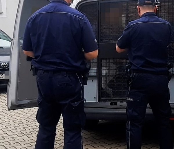 Pijani przybysze: jeden w rzece, inny uciekał