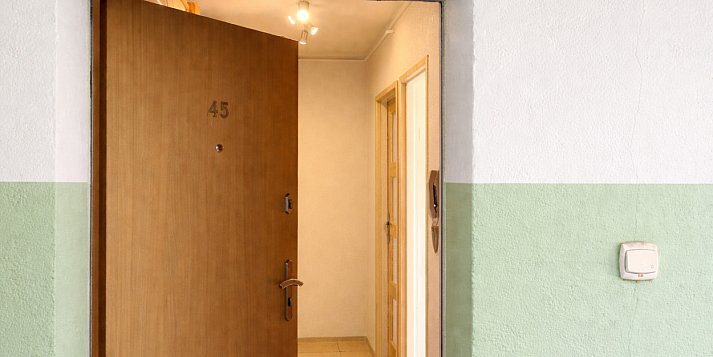 Patoadopcja. Pleszewskie Stowarzyszenie odebrało koty w Kaliszu