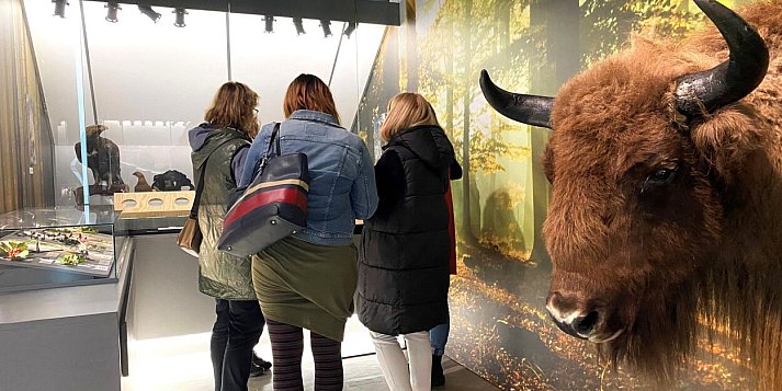 Muzea w Dobrzycy , w Gołuchowie i Śmiełowie czynne w długi weekend! Jakie godziny?