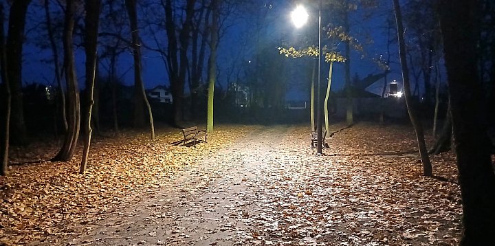 Park w Oborach rozbłysnął nowym światłem-14621
