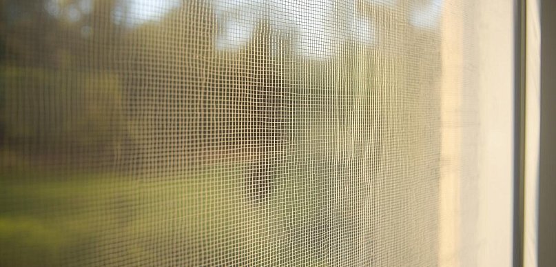 Jakie moskitiery wybrać do domu i mieszkania?