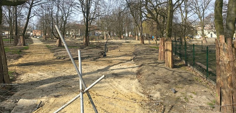 Olbrzymi problem z parkiem miejskim. Burmistrz reaguje, ale nie jest wesoło