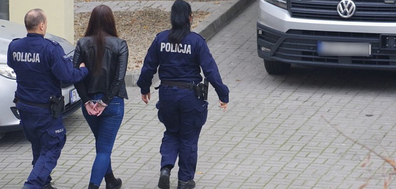 Zabójstwo na działkach w Pleszewie: sąd w Łodzi rozstrzygnął apelacje