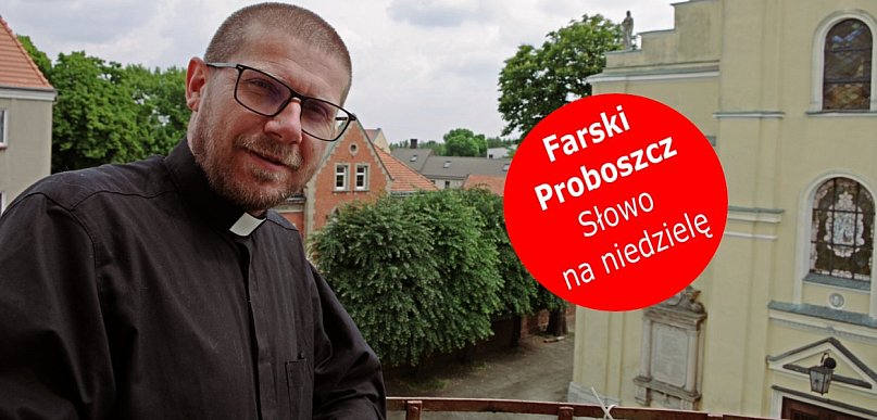 Pachnieć owcami, czyli po czym  poznać dobrego księdza? Felieton z Fary