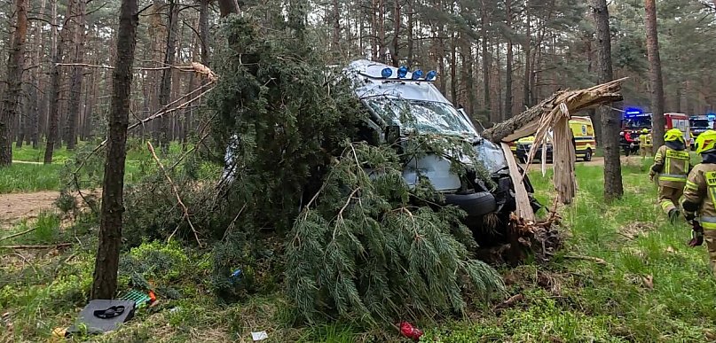 [Zdjęcia] Groźny wypadek w gminie Gizałki. Kierowca przewieziony do szpitala