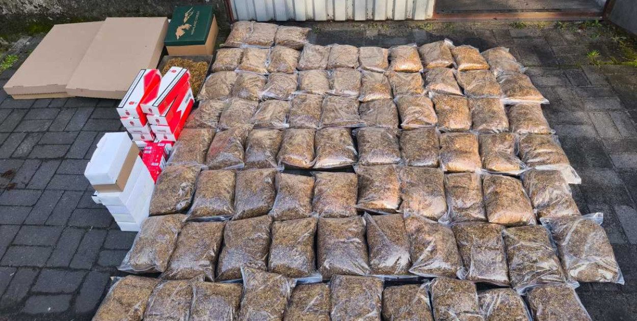 Wielka akcja Urzędu Celnego i policji w gminie Pleszew! "Lewe" papierosy 