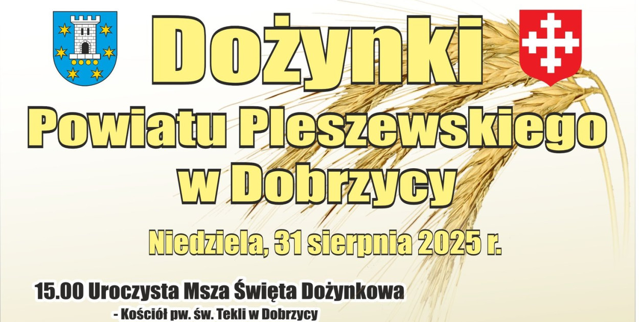 Dożynki Powiatu Pleszewskiego w Dobrzycy