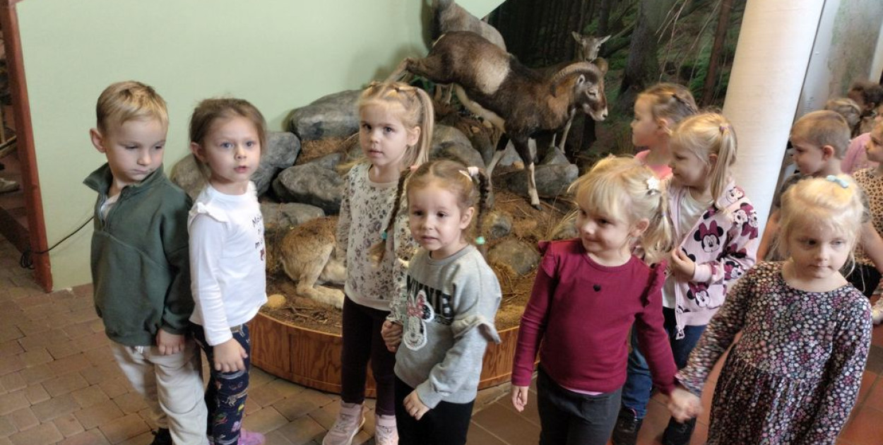 Foto: Przedszkole nr 3  w Pleszewie