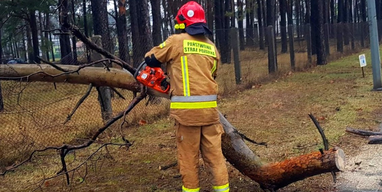 Zdjęcie poglądowe  - PSP.gov