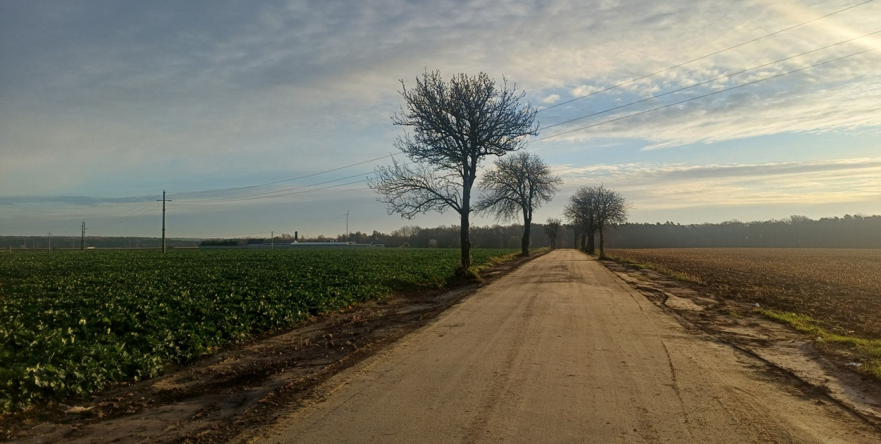 Fot.: Urząd Gminy w Kotlinie