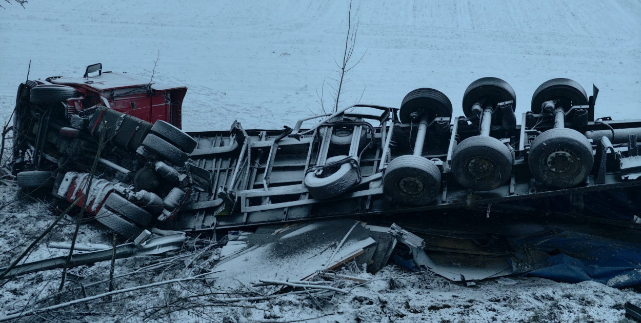 Fot. M. Radziszewski