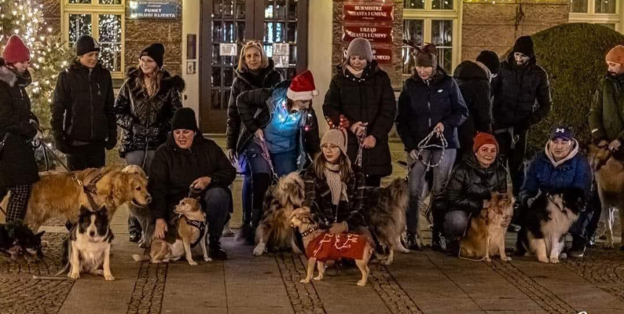 fot. B & J Piotrowscy