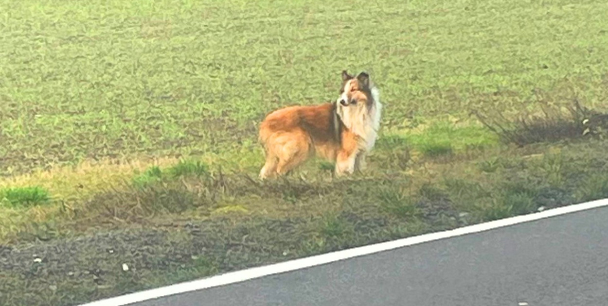 Fot. pan Stanisław  / Facebook \"Gdzie suszą: Pleszew i okolice\"