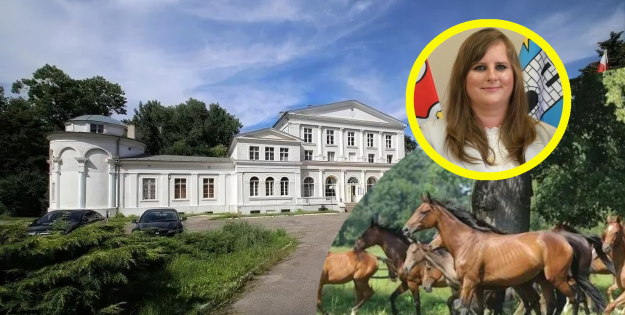 Radna powiatowa z posadą. Zmiana prezesa słynnej państwowej stadniny koni