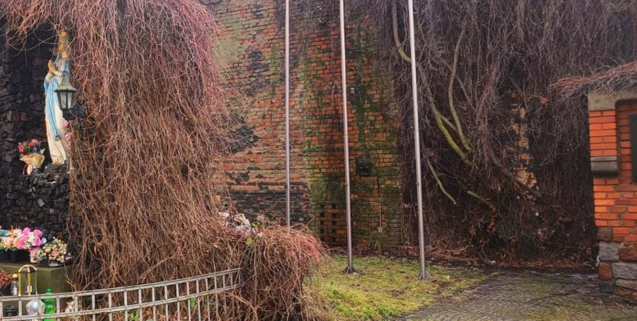 Jest śledztwo: "aby zweryfikować wstępne ustalenia ws. zwłok pod kościołem"