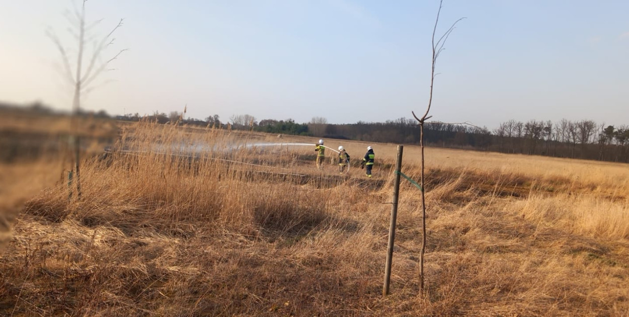 To drugi taki przypadek w ciągu dwóch dni. Pożar w Gołuchowie