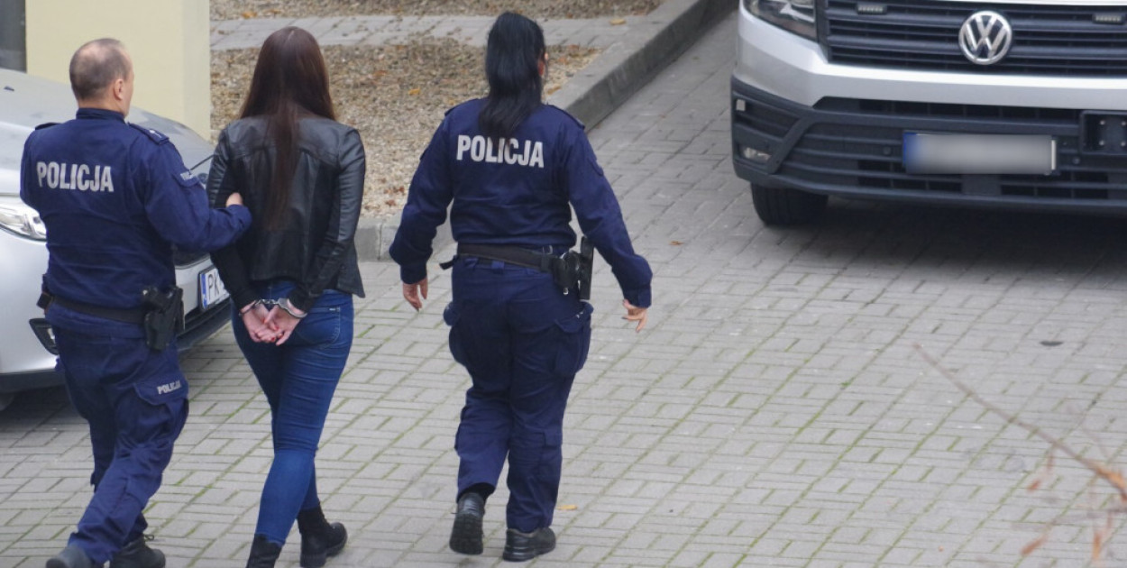 Zabójstwo na działkach w Pleszewie: sąd w Łodzi rozstrzygnął apelacje