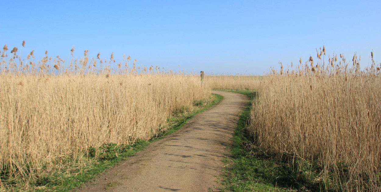 Cztery gminy w powiatu pleszewskiego z dofinansowaniem na drogi